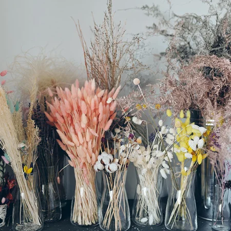 Trockenblumen & Pampasgras